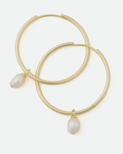 Load image into Gallery viewer, Pearl Drop Hoop Earring